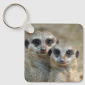 Meerkat 085 schlüsselanhänger (Vorderseite)