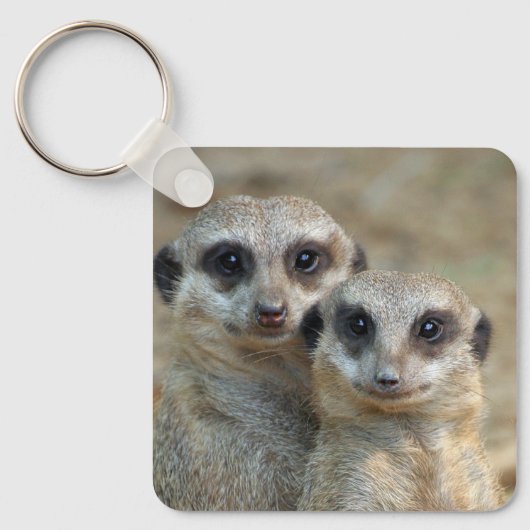 Meerkat 085 schlüsselanhänger (Vorderseite)