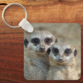 Meerkat 085 schlüsselanhänger (Vorderseite)
