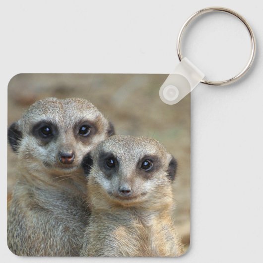 Meerkat 085 schlüsselanhänger (Rückseite)