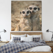 Meerkat 090 leinwanddruck (Insitu (Schlafzimmer))