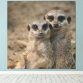 Meerkat 090 leinwanddruck (Insitu (Holzboden))