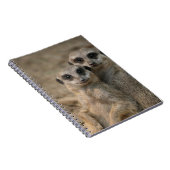 Meerkat 090 notizblock (Rechte Seite)