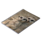 Meerkat 090 notizblock (Linke Seite)