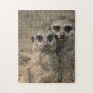 Meerkat 090 puzzle