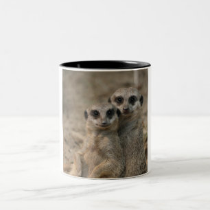 Meerkat 090 zweifarbige tasse