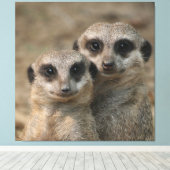 Meerkat 098 leinwanddruck (Insitu (Holzboden))