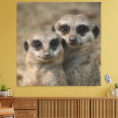 Meerkat 098 leinwanddruck (Insitu (Wohnzimmer))