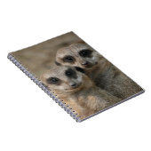 Meerkat 098 notizblock (Rechte Seite)