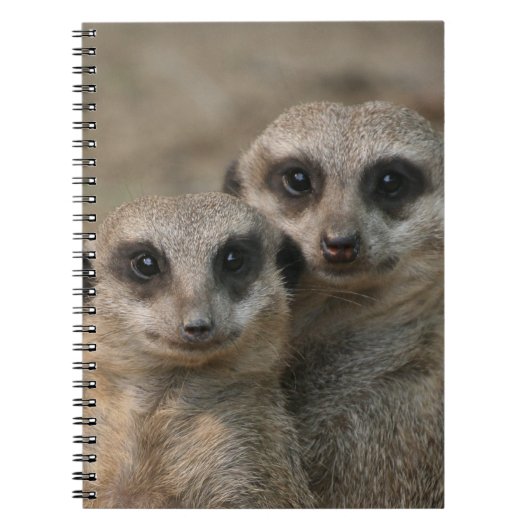 Meerkat 098 notizblock (Vorderseite)