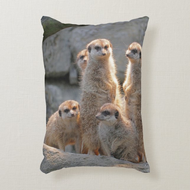 Meerkat 110 dekokissen (Vorderseite(Vertikal))