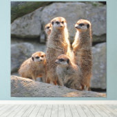 Meerkat 110 leinwanddruck (Insitu (Holzboden))