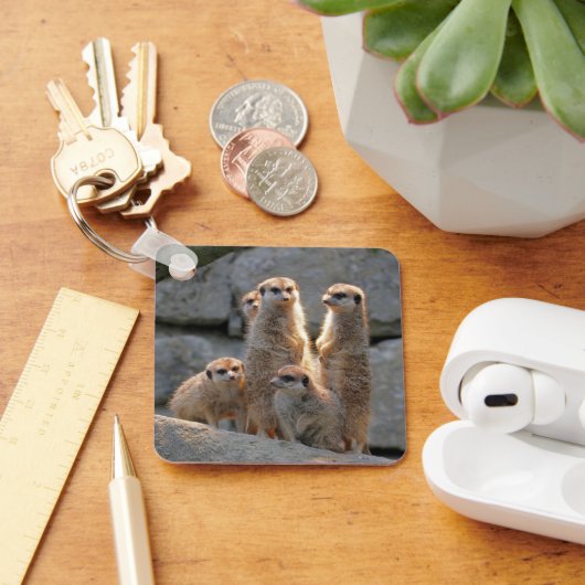Meerkat 110 schlüsselanhänger (Schreibtisch)