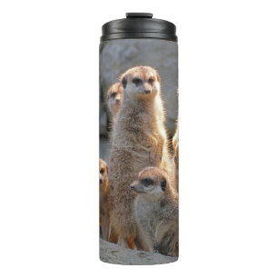 Meerkat 110 thermosbecher