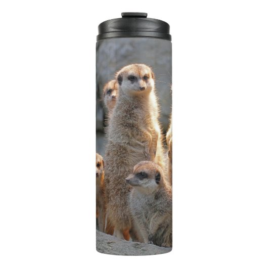 Meerkat 110 thermosbecher (Vorderseite)