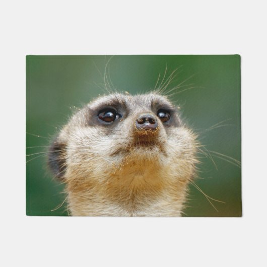 Meerkat 12 fußmatte (Vorderseite)