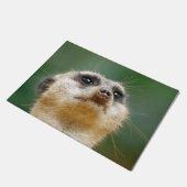 Meerkat 12 fußmatte (Schrägansicht)