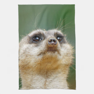 Meerkat 12 geschirrtuch