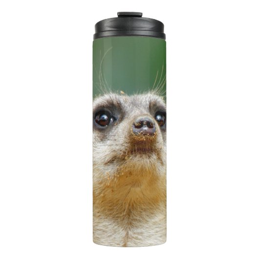 Meerkat 12 thermosbecher (Vorderseite)