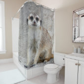 Meerkat 134 duschvorhang (Beispiel)