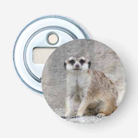 Meerkat 134 flaschenöffner (Vorderseite)