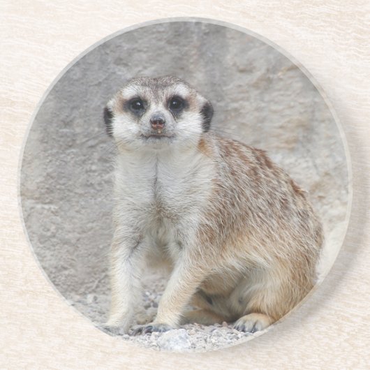 Meerkat 134 getränkeuntersetzer (Vorne)