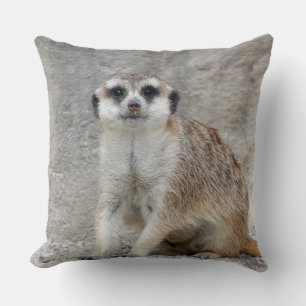 Meerkat 134 kissen