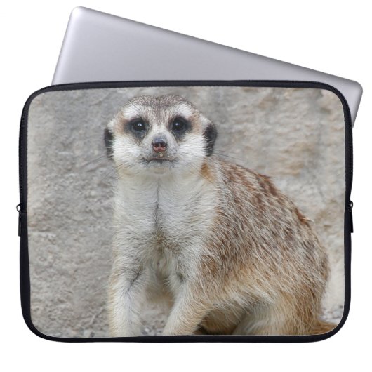 Meerkat 134 laptopschutzhülle (Vorderseite)
