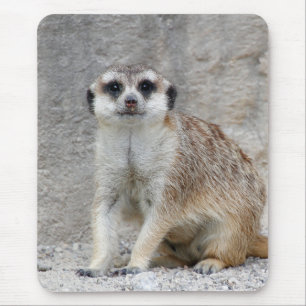 Meerkat 134 mousepad