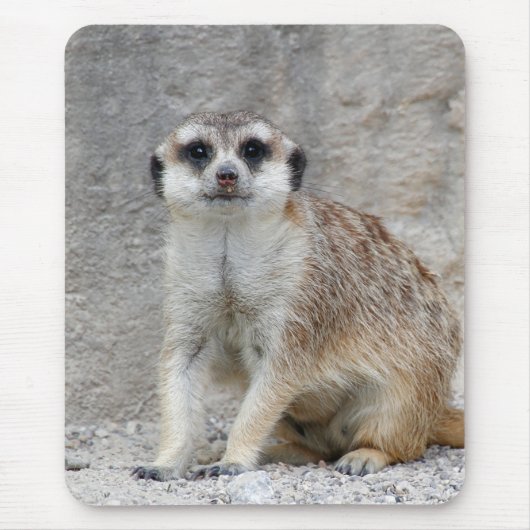 Meerkat 134 mousepad (Vorne)