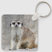 Meerkat 134 schlüsselanhänger (Rückseite)