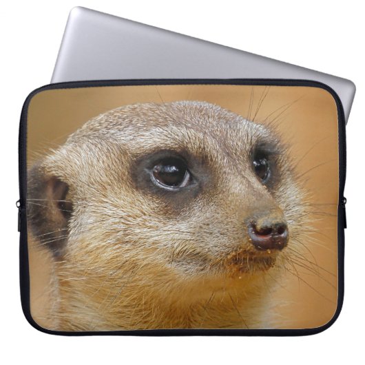 Meerkat 154 laptopschutzhülle (Vorderseite)