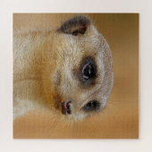Meerkat 154 puzzle (Horizontal)