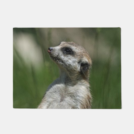 Meerkat 15 fußmatte (Vorderseite)