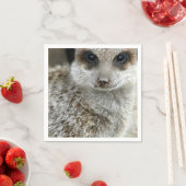 meerkat-16.jpg serviette (Beispiel)