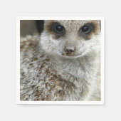 meerkat-16.jpg serviette (Vorderseite)