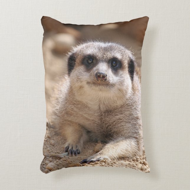 Meerkat 174 dekokissen (Vorderseite(Vertikal))
