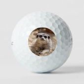 Meerkat 174 golfball (Vorderseite)