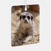 Meerkat 174 ornament aus metall (Vorderseite Rechts)
