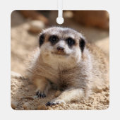 Meerkat 174 ornament aus metall (Rückseite)