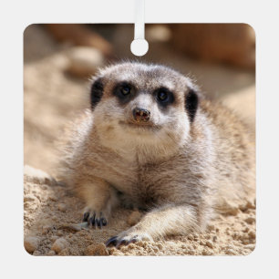 Meerkat 174 ornament aus metall