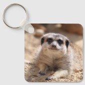 Meerkat 174 schlüsselanhänger (Vorderseite)
