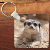 Meerkat 174 schlüsselanhänger (Vorderseite)