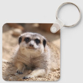 Meerkat 174 schlüsselanhänger (Rückseite)
