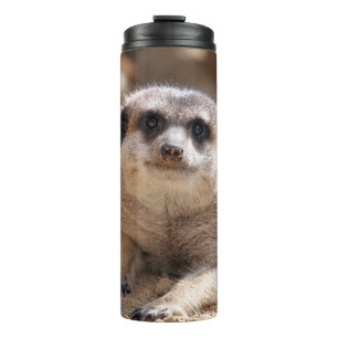 Meerkat 174 thermosbecher