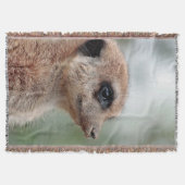 Meerkat 180 decke (Vorderseite)