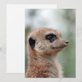 Meerkat 180 feiertagskarte (Vorne/Hinten)