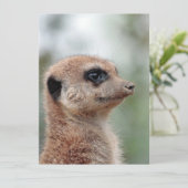 Meerkat 180 feiertagskarte (Stehend Vorderseite)
