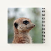 Meerkat 180 notizblock (Rückseite)