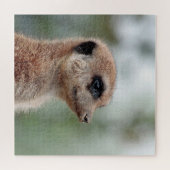 Meerkat 180 puzzle (Horizontal)